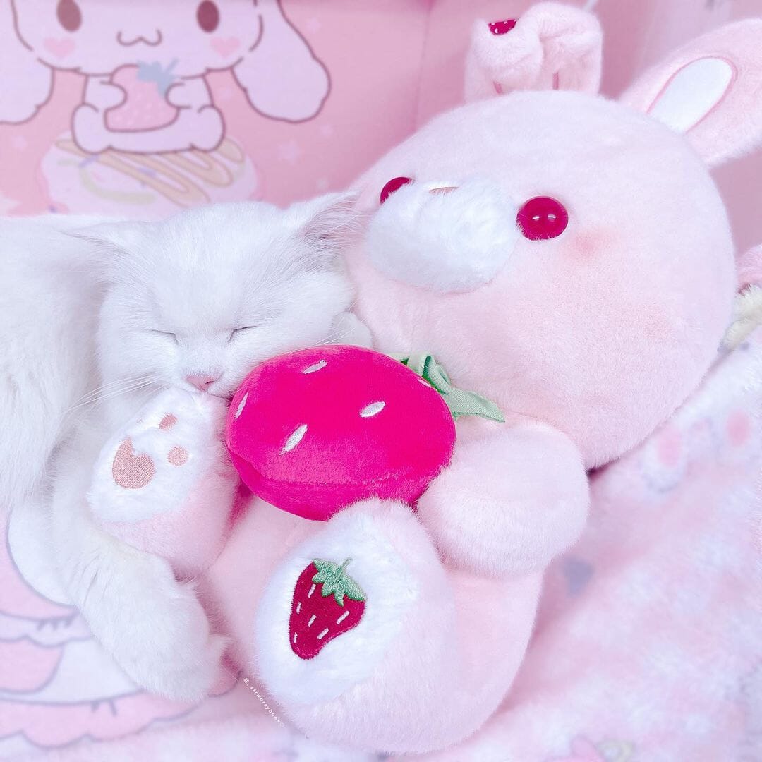 Valentine&#39;s Day Strawberry Love Bunny Plushies Pillows Bobo&#39;s House 