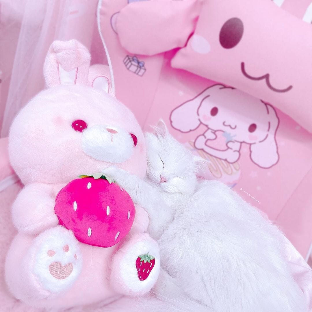 Valentine&#39;s Day Strawberry Love Bunny Plushies Pillows Bobo&#39;s House 